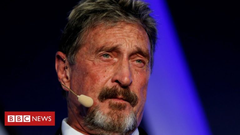 John McAfee charged with fraud over cryptocurrency