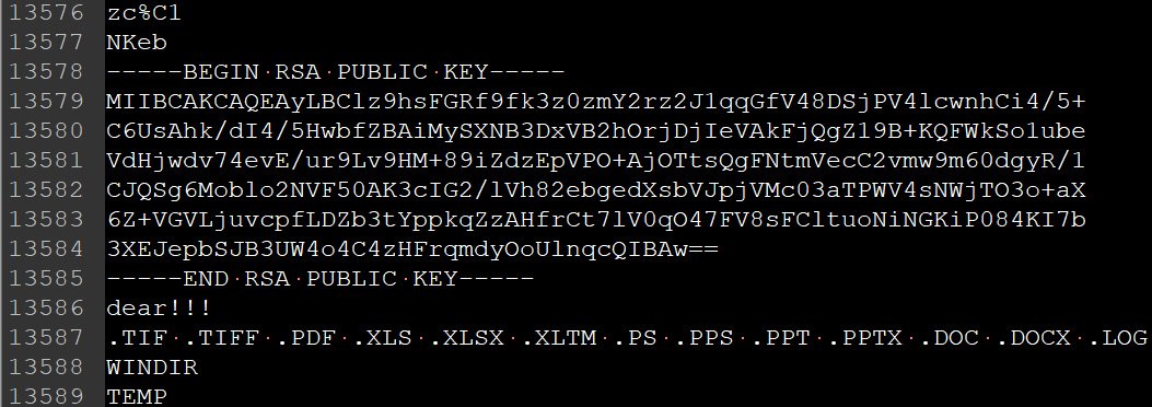 Embedded public RSA key