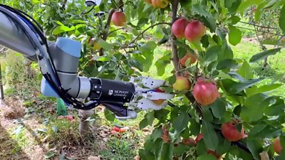 Robotic arm harvests apples and other technology news