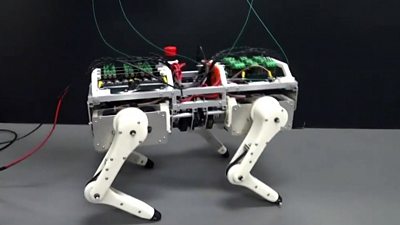 Robot gives insight into how cats walk and other tech news