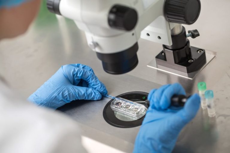 Embryology Data Breach Follows Fertility Clinic Ransomware Hit