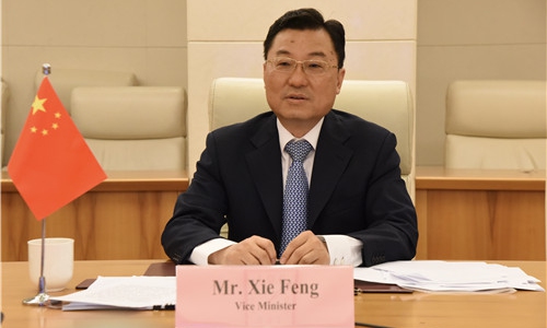  Vice Foreign Minister Xie Feng Photo:website of China Foreign Ministry