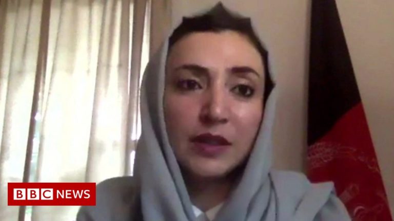 Afghanistan: ‘We are not giving up hope on peace’
