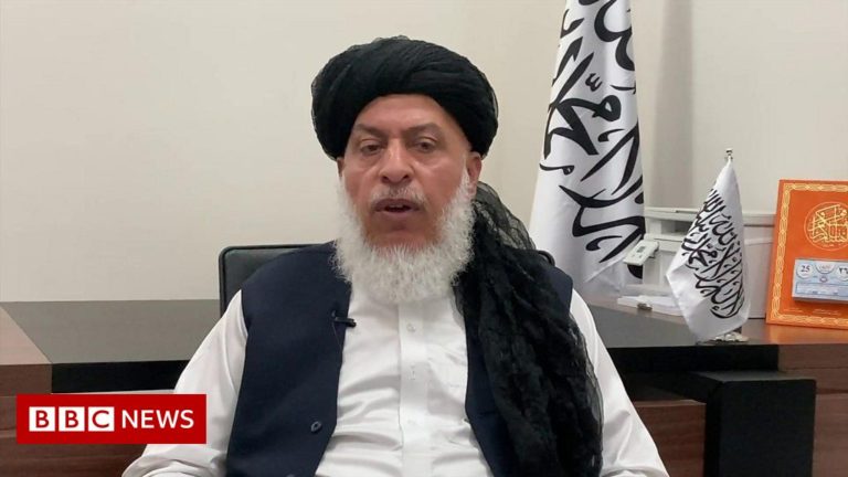 Afghanistan: Taliban asked if there will be a place for women in new government