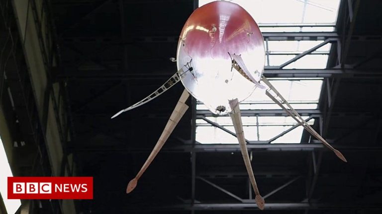 Sea-like robots float at Tate Modern and other tech news
