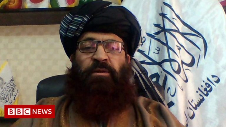 All Afghans have the right to a passport – Taliban