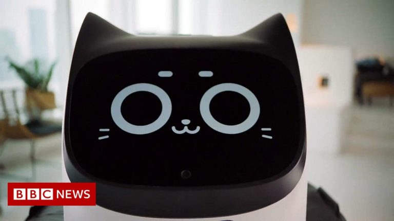 Robo-cat waiters come to restaurant chain and other news